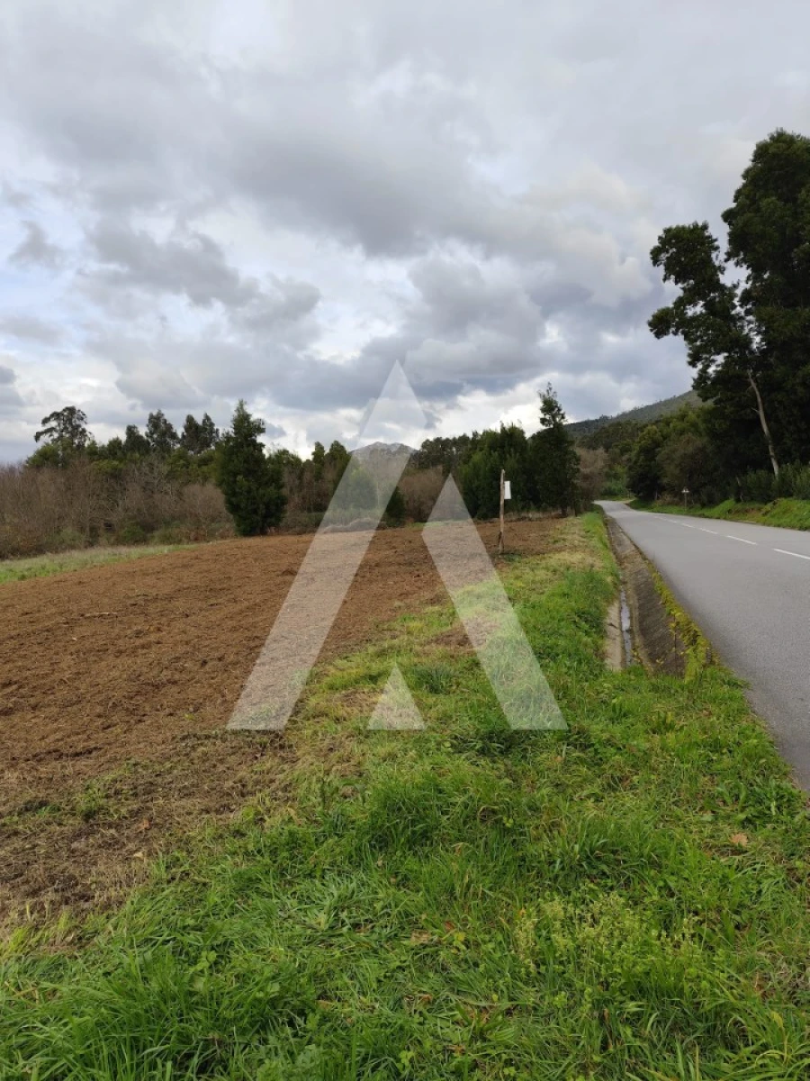 Terreno Agricola ou Rústico para Venda em Argela Foto 2