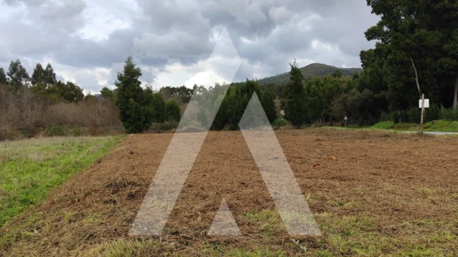 Terreno Agricola ou Rústico para Venda em Argela