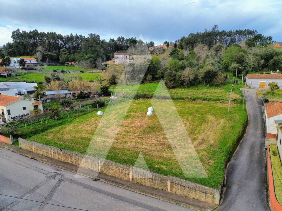 Terreno para Venda em São João de Loure e Frossos Foto 1