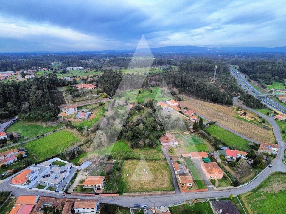 Terreno para Venda em São João de Loure e Frossos Foto 3