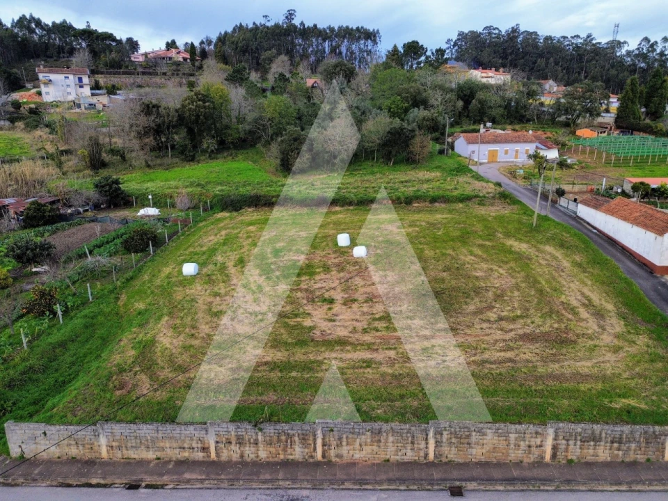 Terreno para Venda em São João de Loure e Frossos Foto 4