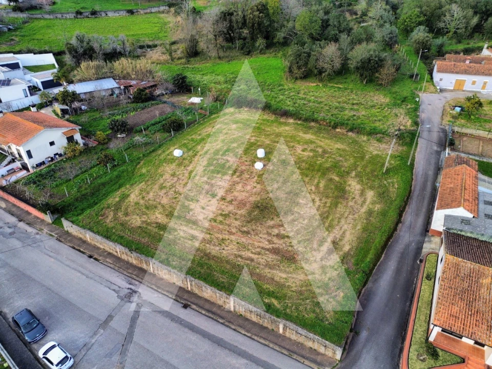Terreno para Venda em São João de Loure e Frossos Foto 5