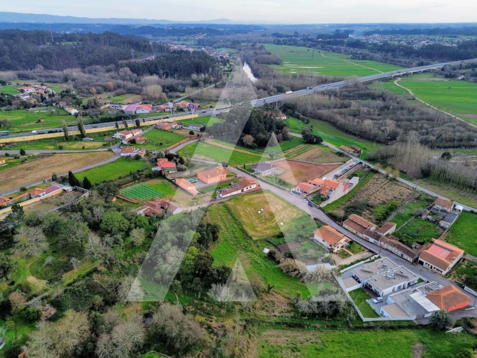 Terreno para Venda em São João de Loure e Frossos Foto 6