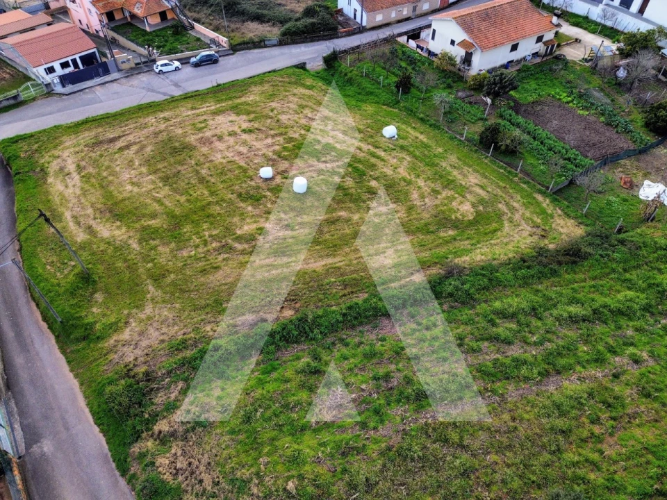 Terreno para Venda em São João de Loure e Frossos Foto 8