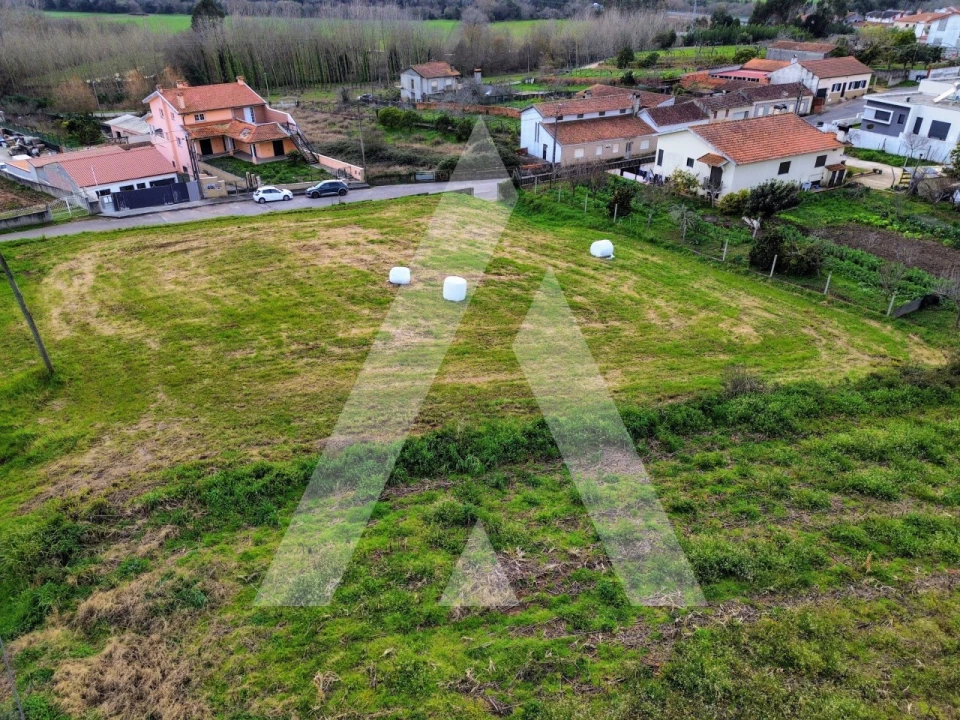 Terreno para Venda em São João de Loure e Frossos Foto 11