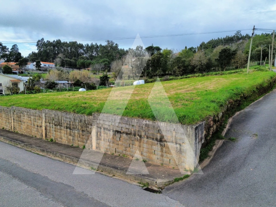 Terreno para Venda em São João de Loure e Frossos Foto 13