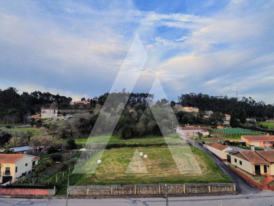 Terreno para Venda em São João de Loure e Frossos Foto 14
