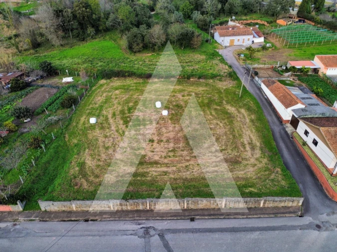 Terreno para Venda em São João de Loure e Frossos Foto 2