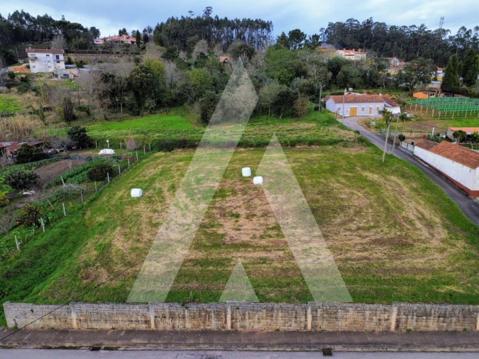 Terreno para Venda em São João de Loure e Frossos Foto 4