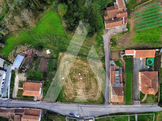 Terreno para Venda em São João de Loure e Frossos Foto 7