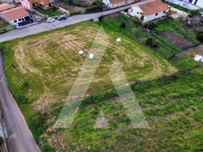 Terreno para Venda em São João de Loure e Frossos Foto 8