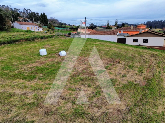 Terreno para Venda em São João de Loure e Frossos Foto 9
