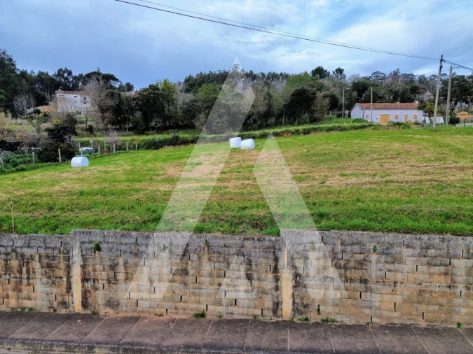 Terreno para Venda em São João de Loure e Frossos Foto 10