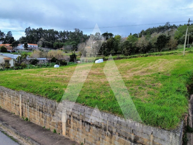 Terreno para Venda em São João de Loure e Frossos Foto 12