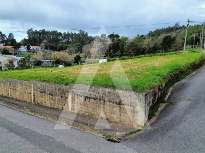Terreno para Venda em São João de Loure e Frossos Foto 13