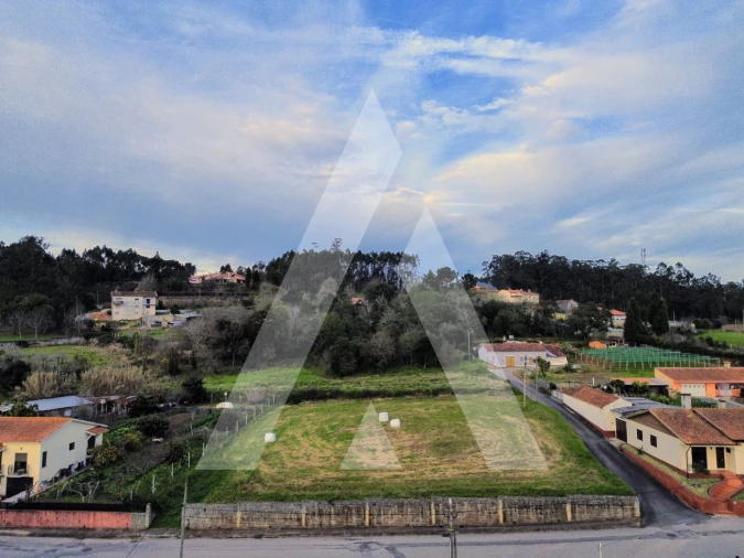 Terreno para Venda em São João de Loure e Frossos Foto 14