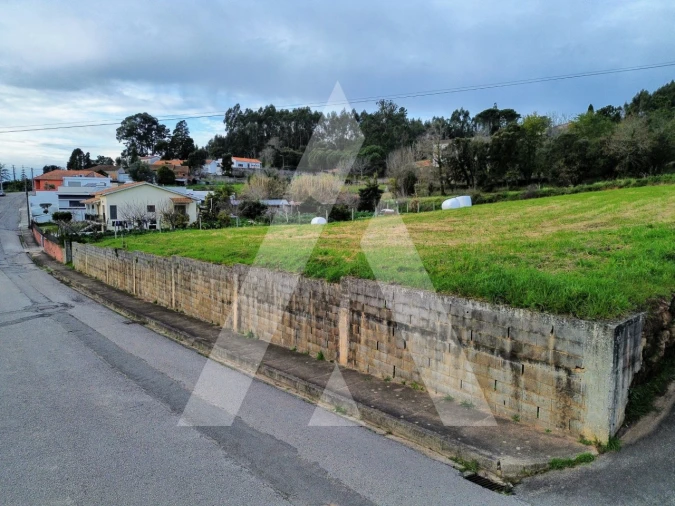 Terreno para Venda em São João de Loure e Frossos Foto 16