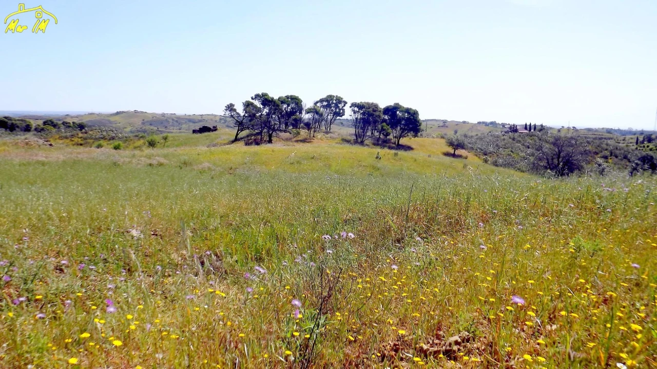 Terreno para Venda em Vila Real de Santo Antonio Foto 12