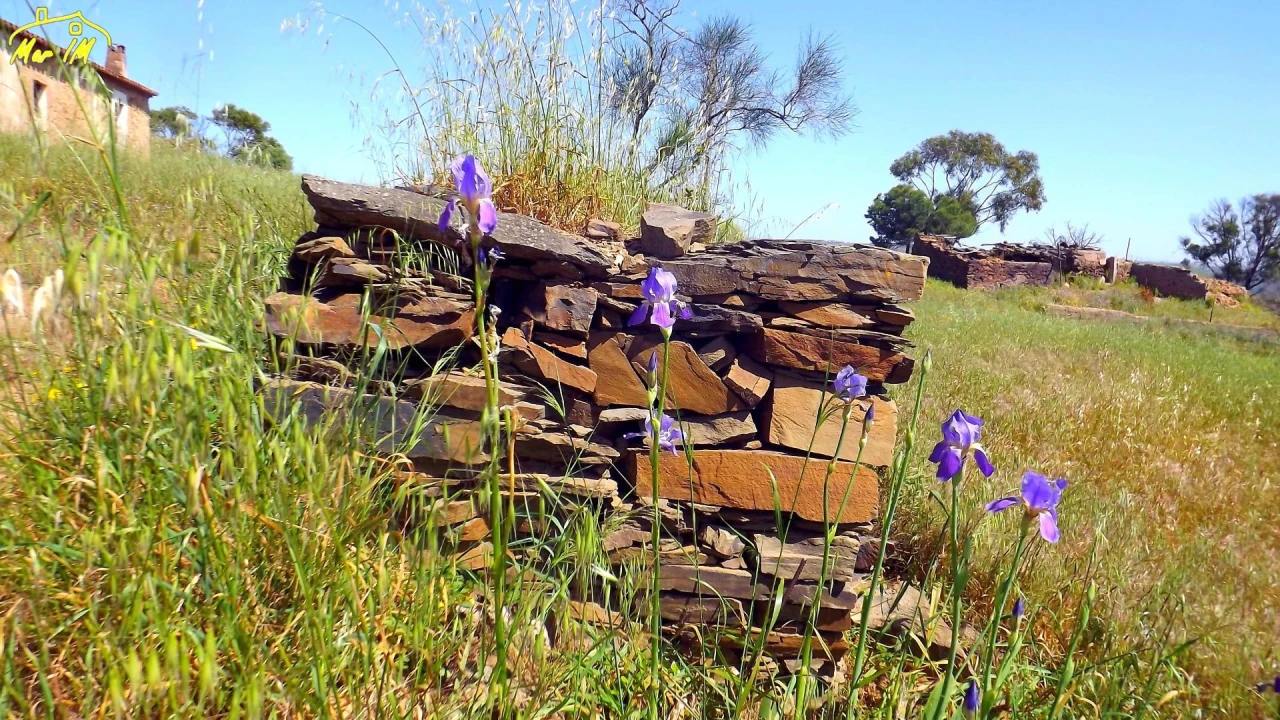 Terreno para Venda em Vila Nova de Cacela Foto 46