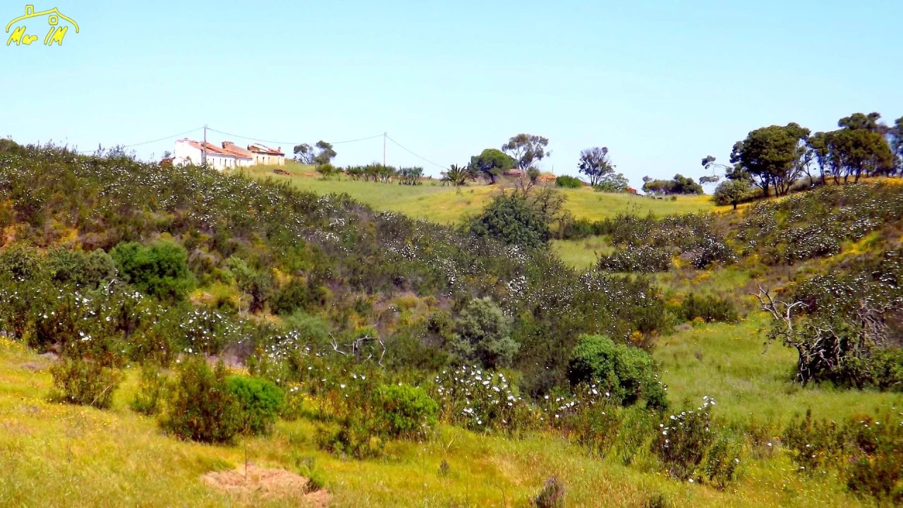 Terreno para Venda em Vila Nova de Cacela Foto 1