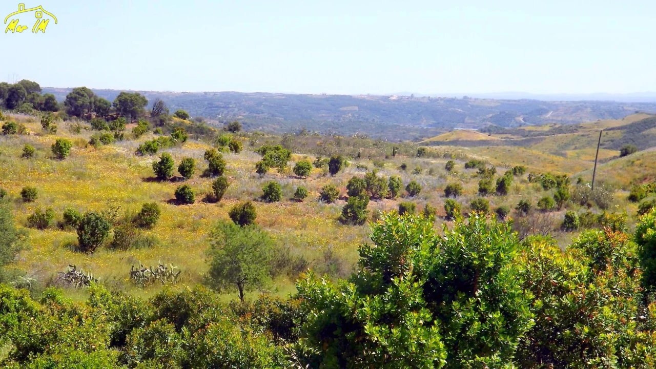 Terreno para Venda em Vila Nova de Cacela Foto 10