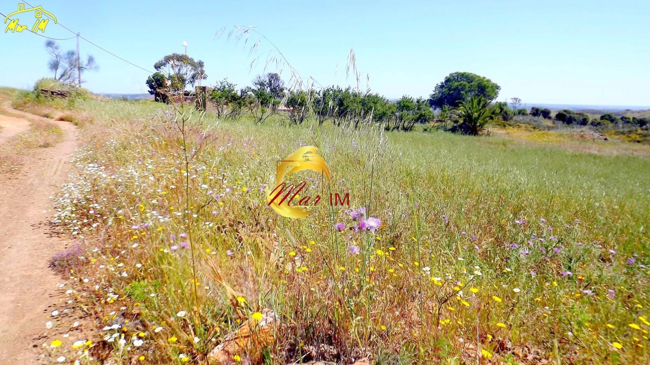 Terreno para Venda em Vila Nova de Cacela Foto 15