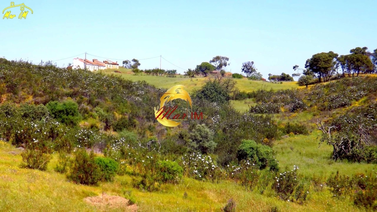 Terreno para Venda em Vila Nova de Cacela Foto 4