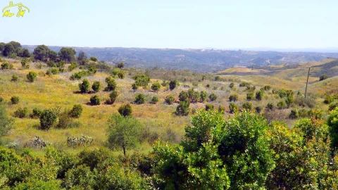 Terreno para Venda em Vila Nova de Cacela