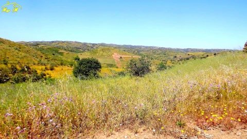 Terreno para Venda em Vila Nova de Cacela