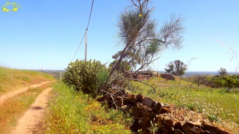 Terreno para Venda em Vila Nova de Cacela