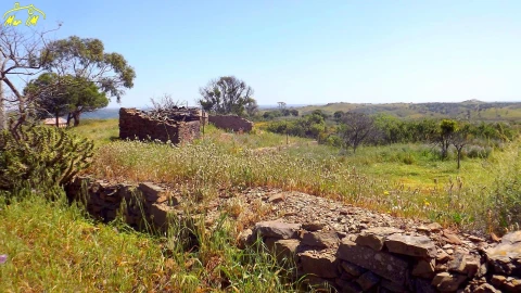 Terreno para Venda em Vila Nova de Cacela
