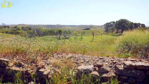 Terreno para Venda em Vila Nova de Cacela