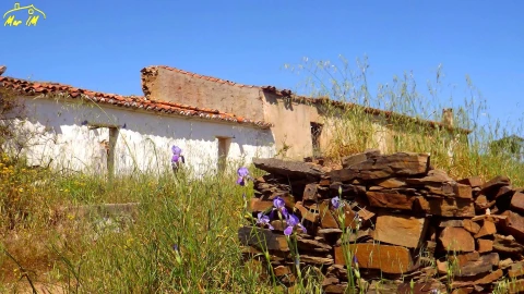 Terreno para Venda em Vila Nova de Cacela