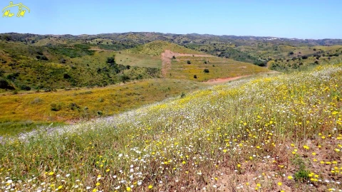 Terreno para Venda em Vila Nova de Cacela