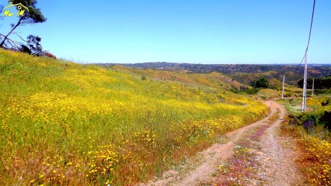 Terreno para Venda em Vila Nova de Cacela