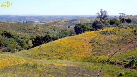 Terreno para Venda em Vila Nova de Cacela