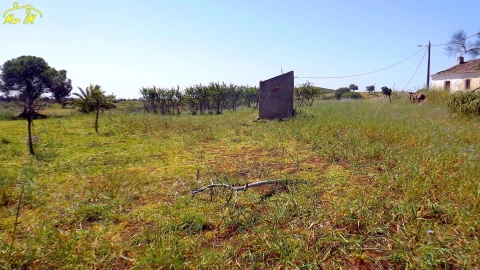 Terreno para Venda em Vila Nova de Cacela