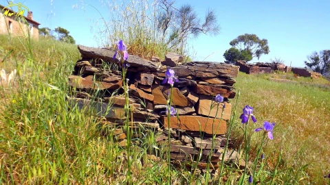 Terreno para Venda em Vila Nova de Cacela