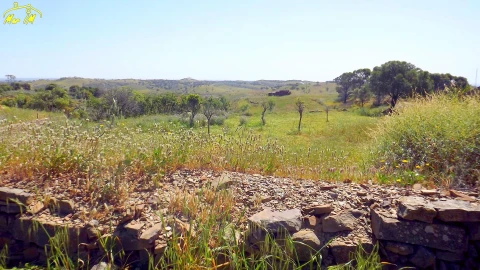 Terreno para Venda em Vila Nova de Cacela