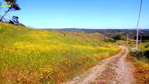 Terreno para Venda em Vila Nova de Cacela