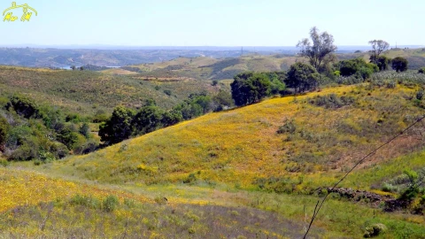 Terreno para Venda em Vila Nova de Cacela
