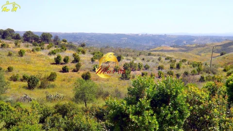 Terreno para Venda em Vila Nova de Cacela