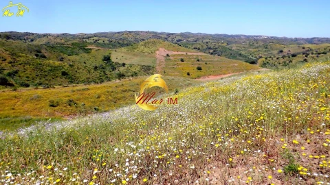 Terreno para Venda em Vila Nova de Cacela