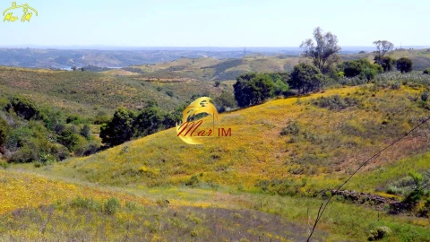 Terreno para Venda em Vila Nova de Cacela