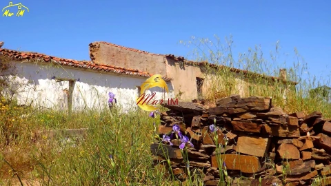 Terreno para Venda em Vila Nova de Cacela