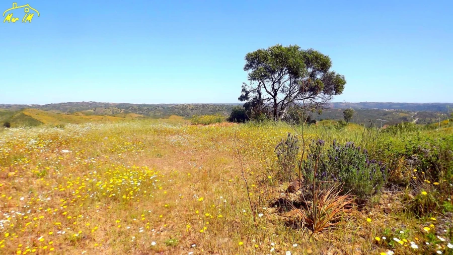 Terreno para Venda em Vila Nova de Cacela Foto 23
