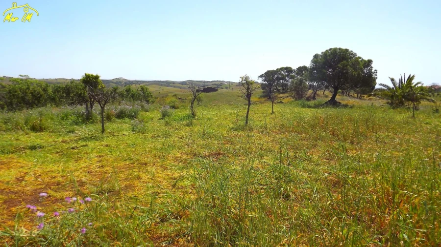 Terreno para Venda em Vila Nova de Cacela Foto 43