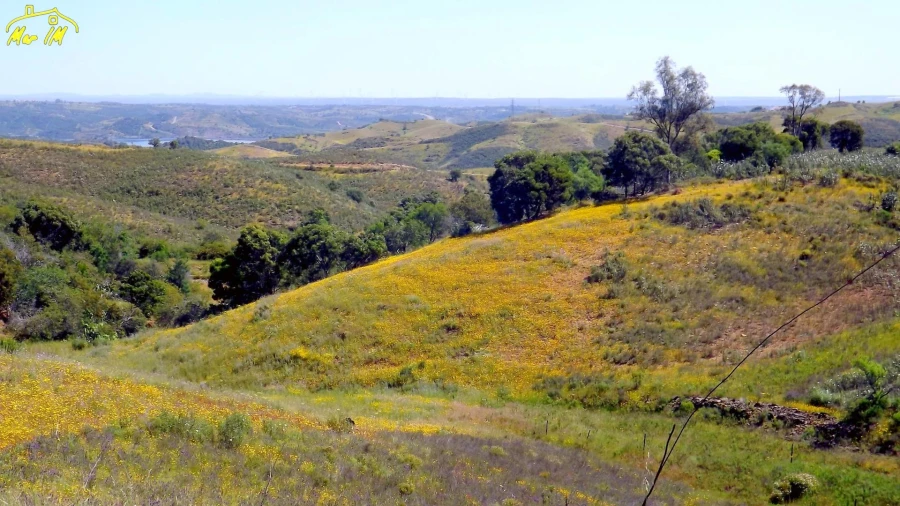 Terreno para Venda em Vila Nova de Cacela Foto 32