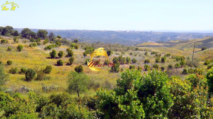 Terreno para Venda em Vila Nova de Cacela Foto 12