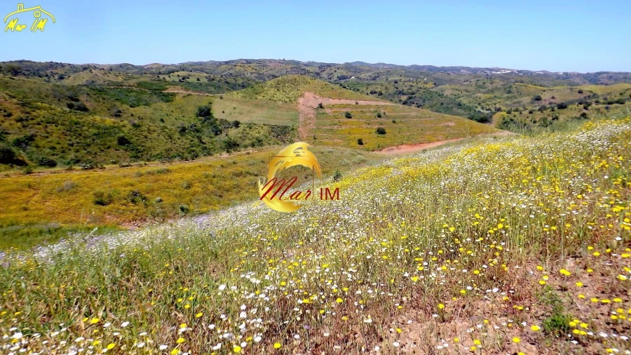 Terreno para Venda em Vila Nova de Cacela Foto 22
